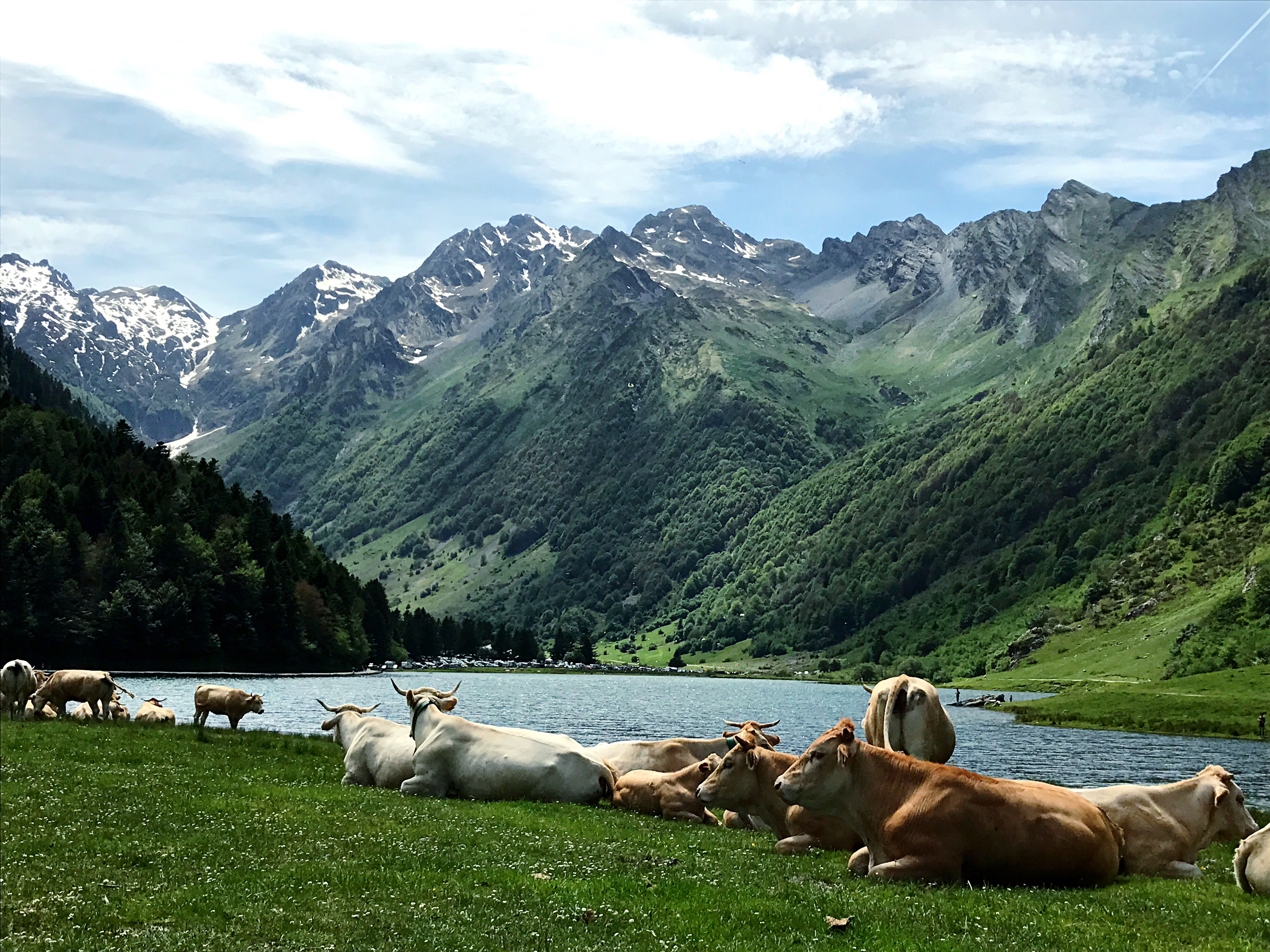 Les Pyrénées en été
