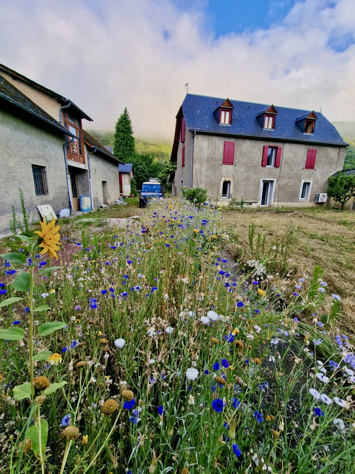 La Maison des Lys côté jardin