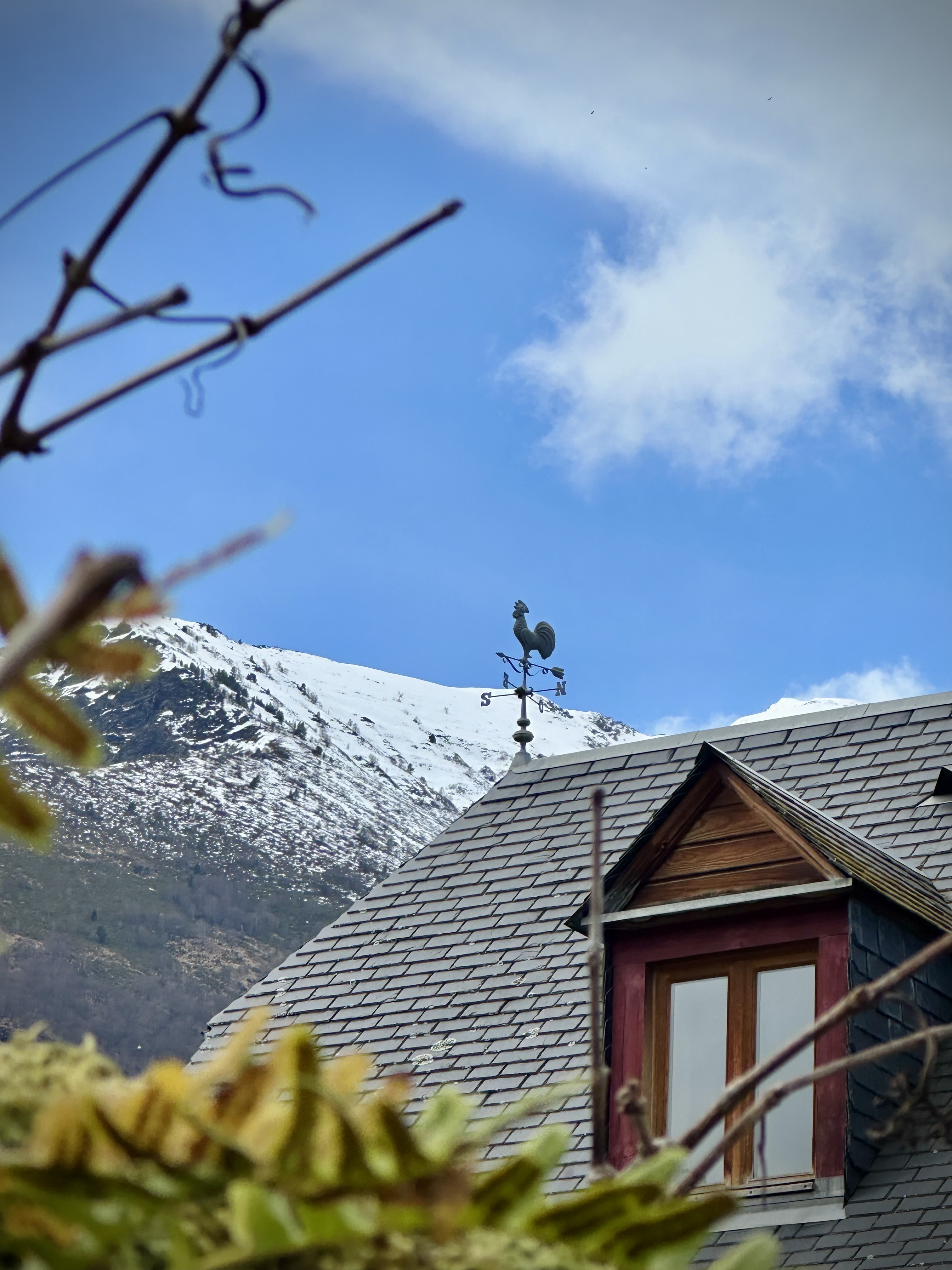 La Maison des Lys