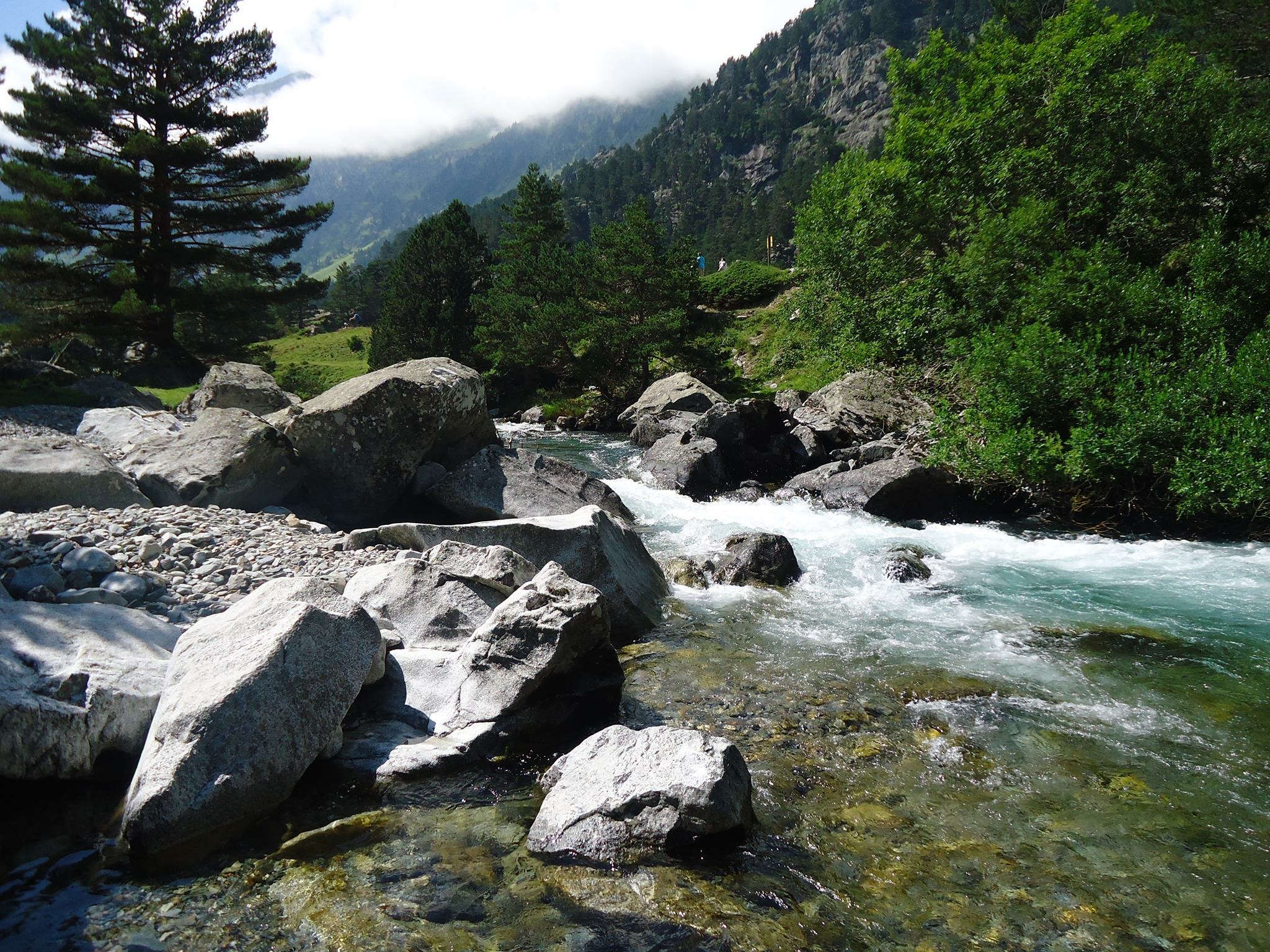 Printemps dans les Pyrénées