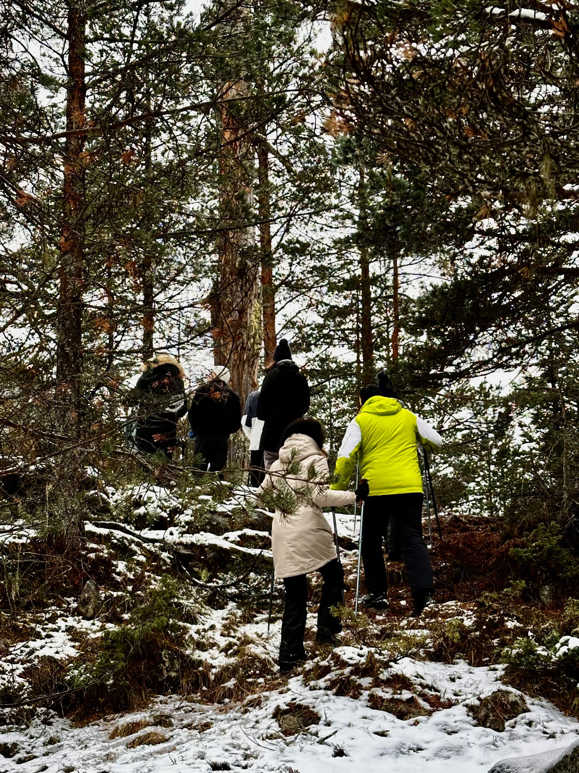 L’hiver dans les Pyrénées sans skier