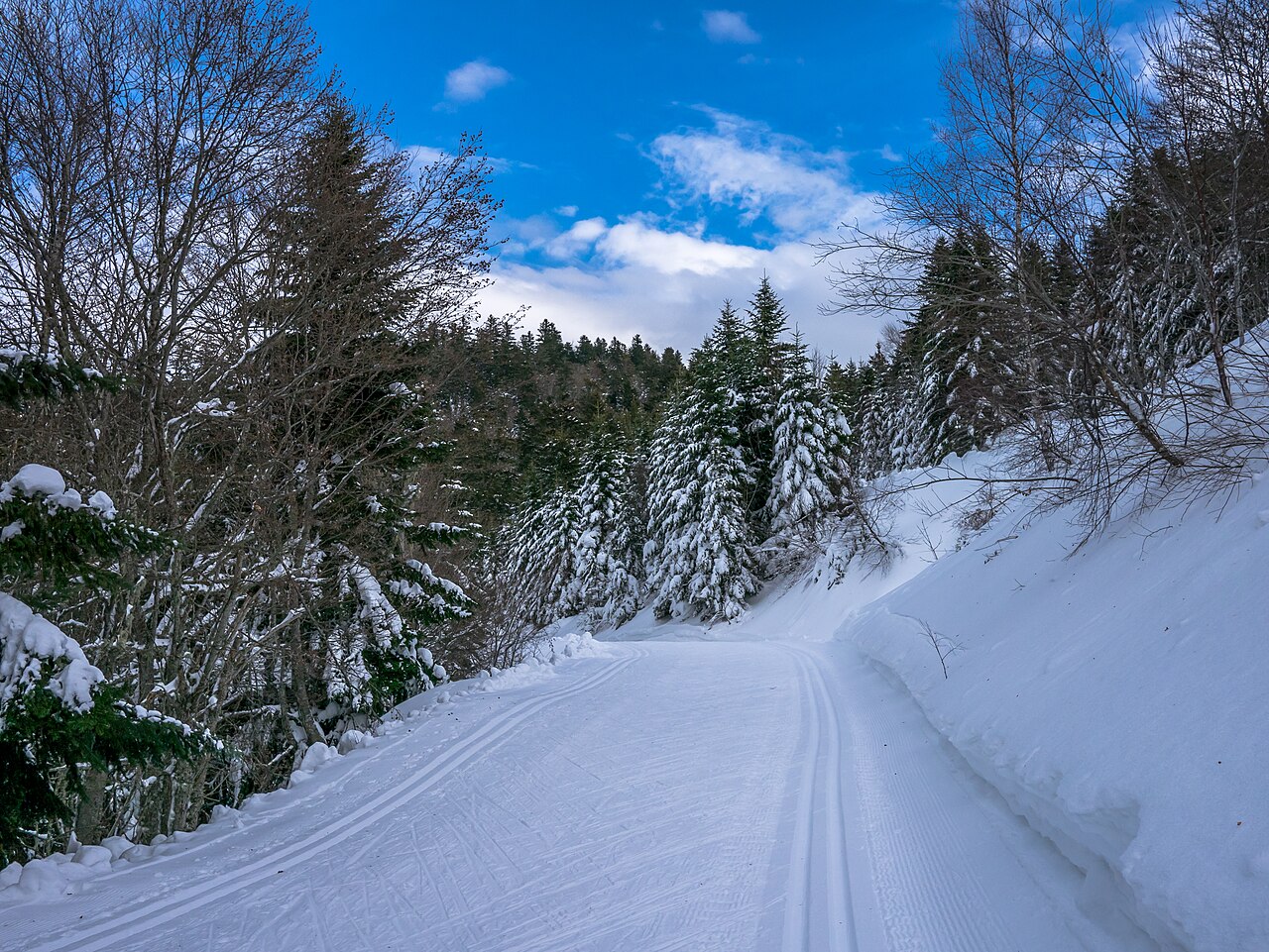 Ski nordique